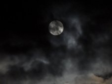 3116789697_1_5_ZfDfU0PS