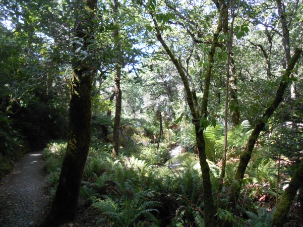 Palais National de Pence (74)