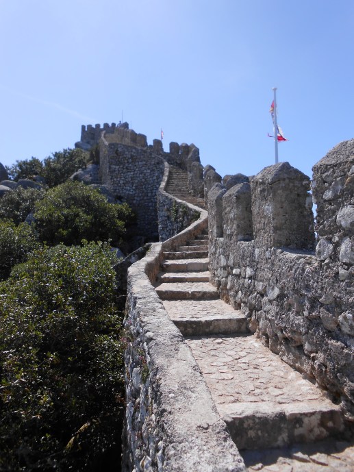 Palais des Maures (15)