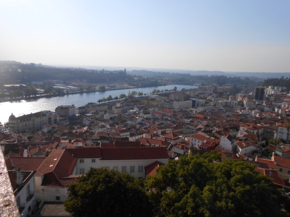 Vieille Université (11)