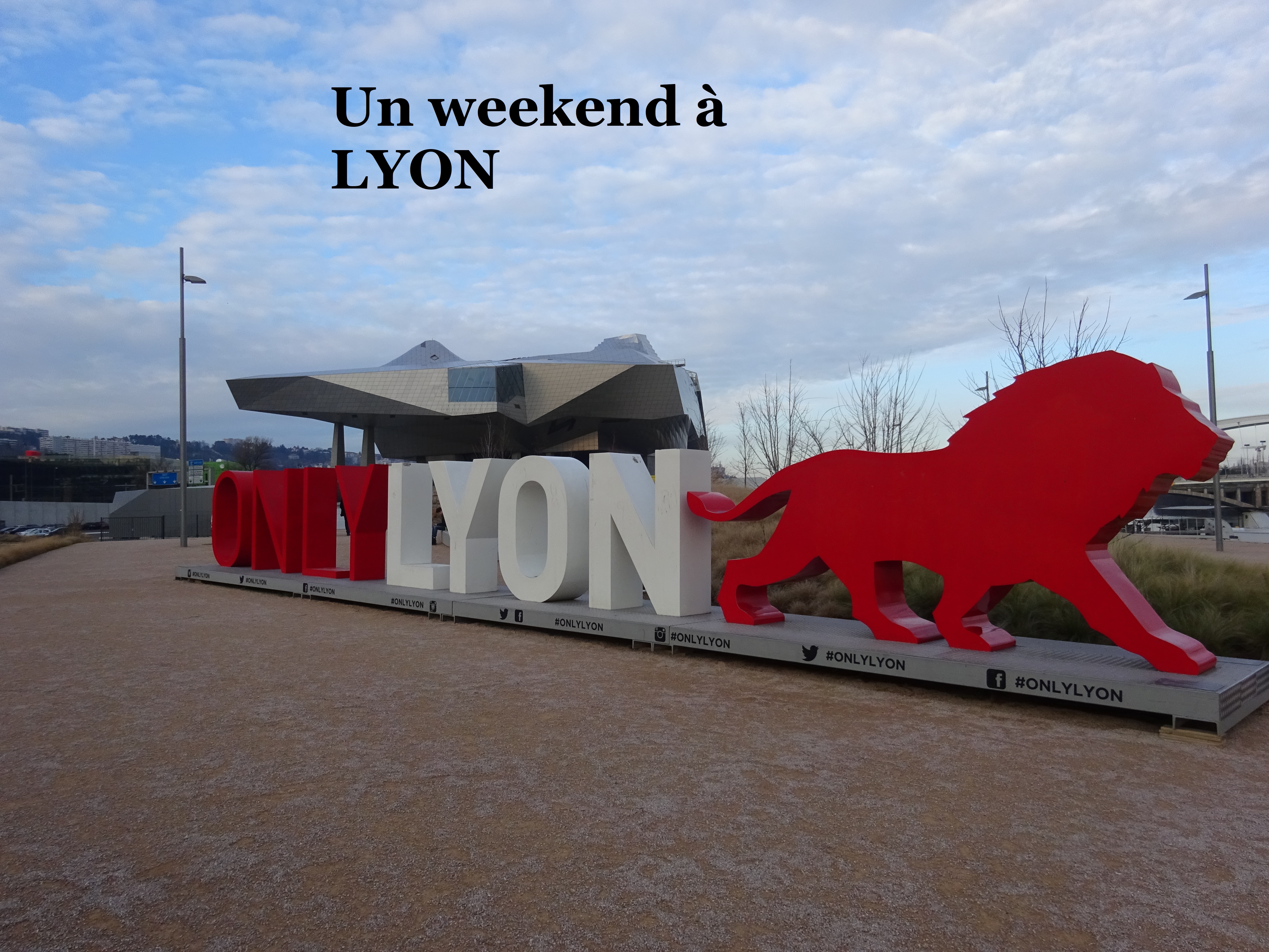 06 Musée des Confluences (9)