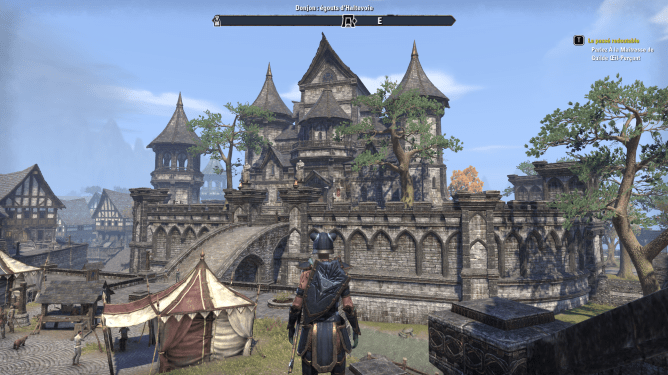 daguefilante- Haltevoie