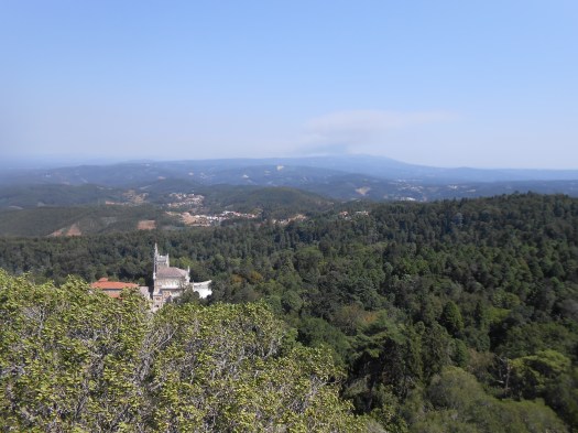 Forêt de Buçaco (17)