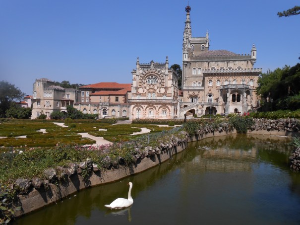 Forêt de Buçaco (41)