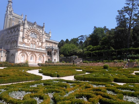 Forêt de Buçaco (43)